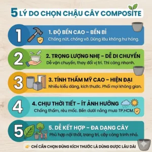 5 Lý Do Nên Chọn Chậu Composite Trồng Cây Cho Không Gian Hiện Đại