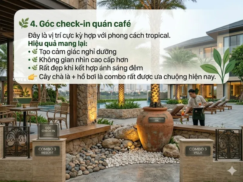 7 Vị Trí Đẹp Để Trồng Cây Chà Là 4 7 Vị Trí Đẹp Để Trồng Cây Chà Là