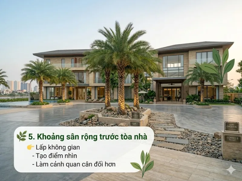 7 Vị Trí Đẹp Để Trồng Cây Chà Là 5 7 Vị Trí Đẹp Để Trồng Cây Chà Là