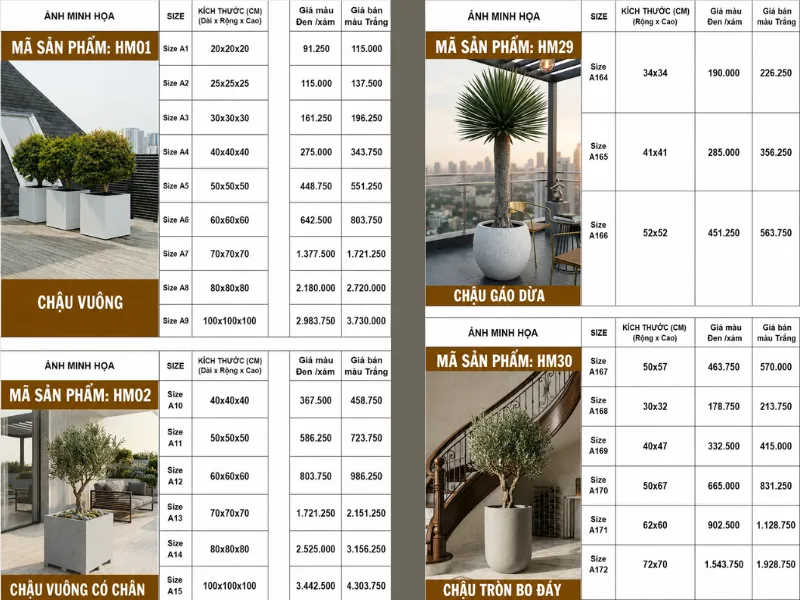 Báo Giá Chậu Xi Măng Decor 2026