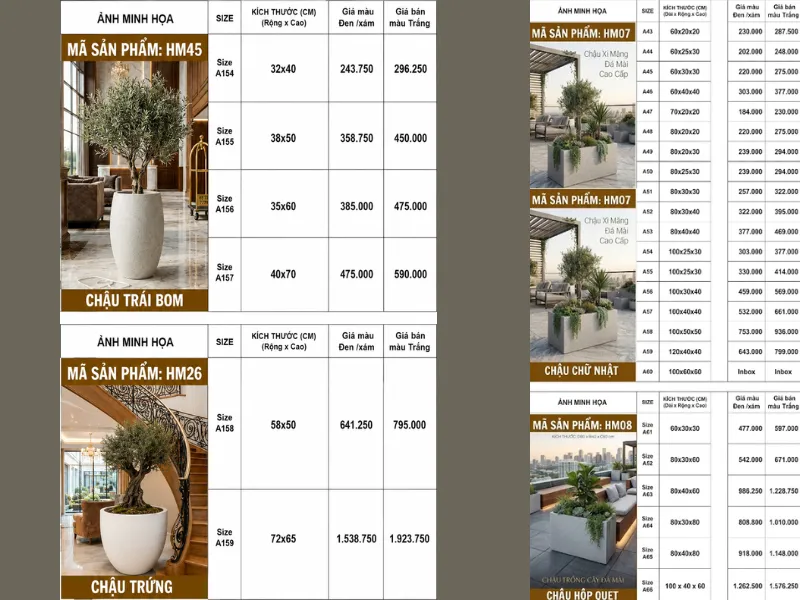 Báo Giá Chậu Xi Măng Decor 2026