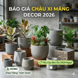 Báo Giá Chậu Xi Măng Decor 2026