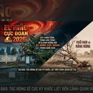 Cây Xanh Công Trình Dễ Bị Ảnh Hưởng Bởi El Niño Cực Đoan Trong Năm 2026
