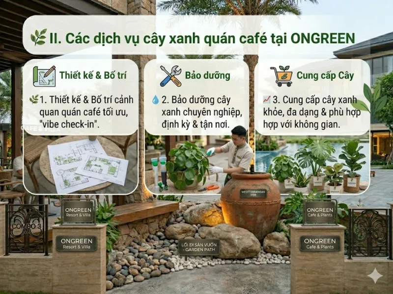 Dịch Vụ Cây Xanh Quán Café Khu Vực Thủ Đức