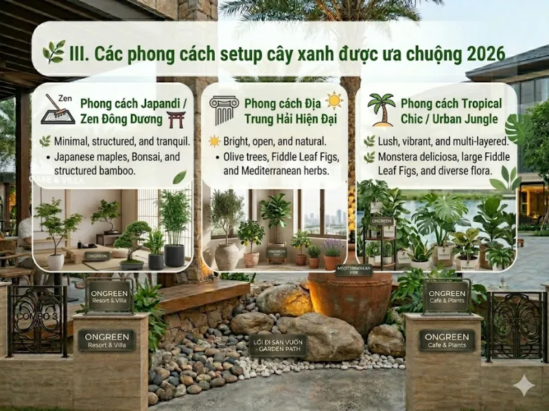 Dịch Vụ Cây Xanh Quán Café Khu Vực Thủ Đức