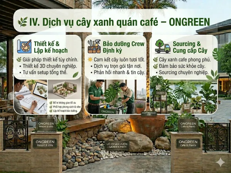 Dịch Vụ Cây Xanh Quán Café Khu Vực Thủ Đức