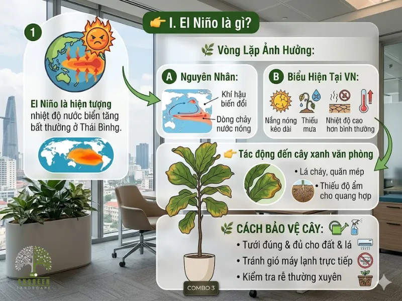 El Niño Ảnh Hưởng Đến Cây Xanh Như Thế Nào?