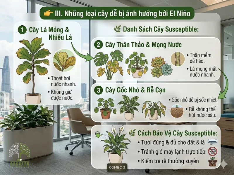 El Niño Ảnh Hưởng Đến Cây Xanh Như Thế Nào?