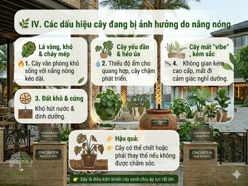 El Niño Ảnh Hưởng Đến Cây Xanh Như Thế Nào?