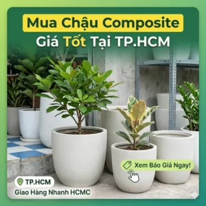 Mua Chậu Composite Giá Tốt Tại TP.HCM