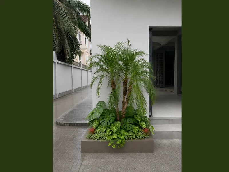 Setup Tiểu Cảnh Tropical Cho Quán Café