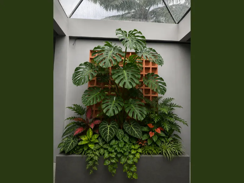 Setup Tiểu Cảnh Tropical Cho Quán Café