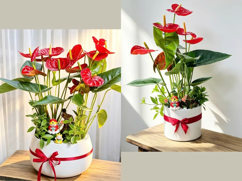 Những Mẫu Chậu Cây Để Bàn Làm Quà Tặng
