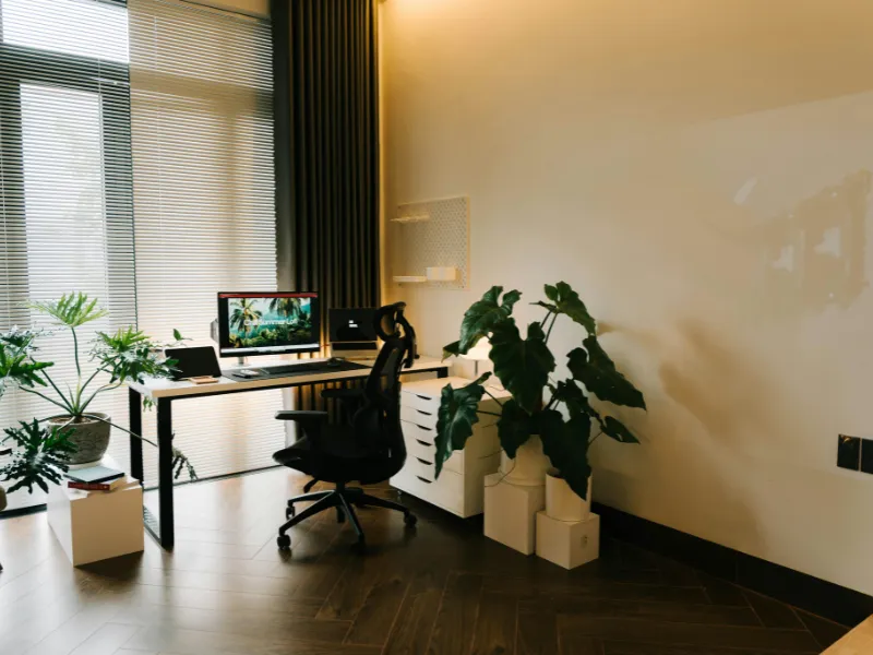 Setup Cây Xanh Văn Phòng Theo Layout – Giải Pháp Không Gian Xanh Hiệu Quả Cho Doanh Nghiệp