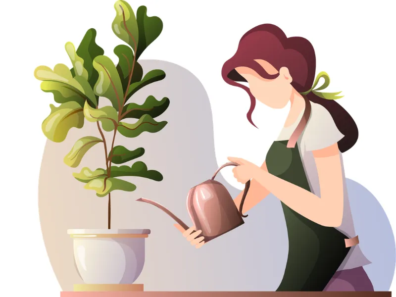 7 Vấn Đề Thường Gặp Khi Chăm Sóc Cây Cảnh Trong Phòng 4 Vấn Đề Thường Gặp Khi Chăm Sóc Cây Cảnh Trong Phòng
