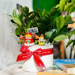 Cây Cảnh Làm Quà Tặng Khai Trương Dưới 200.000 Đồng